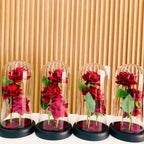 Rose Éternelle Rouge / Fleur Enchantée Lumineuse pour Épouse, Mère ou Petite Amie.