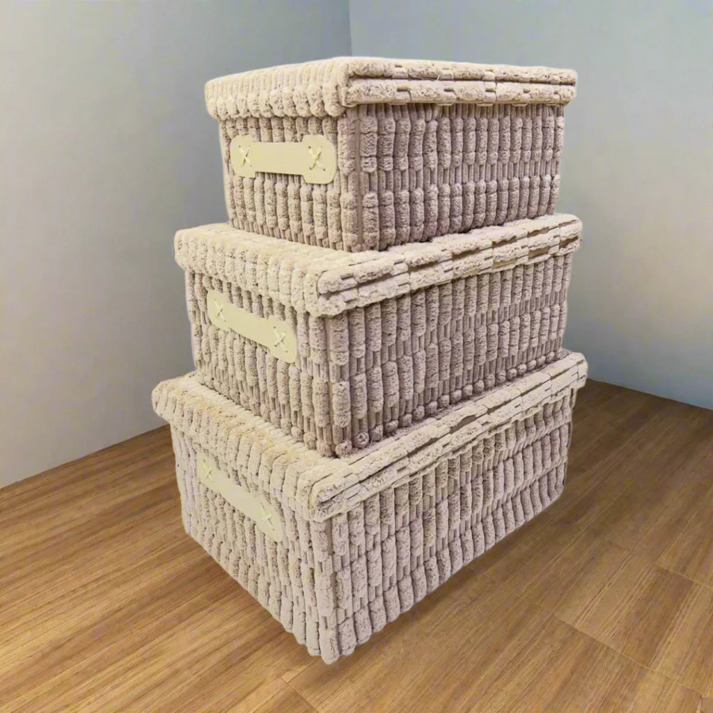 Ensemble de 3 Boîtes de Rangement Polyvalentes avec Couvercles