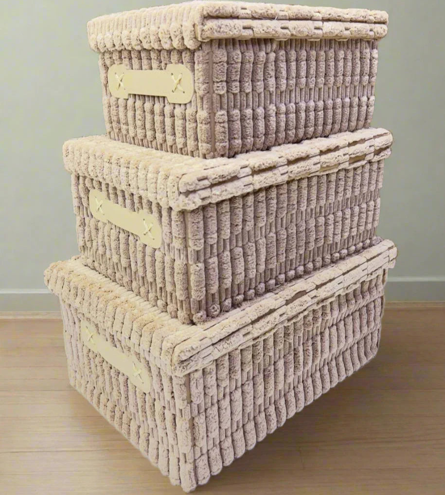 Ensemble de 3 Boîtes de Rangement Polyvalentes avec Couvercles