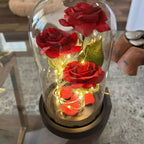 Rose Éternelle Rouge / Fleur Enchantée Lumineuse pour Épouse, Mère ou Petite Amie.